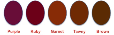 Red Wine Color Spectrum