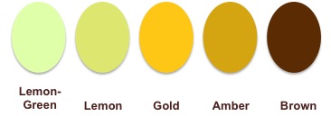 White Wine Color Spectrum