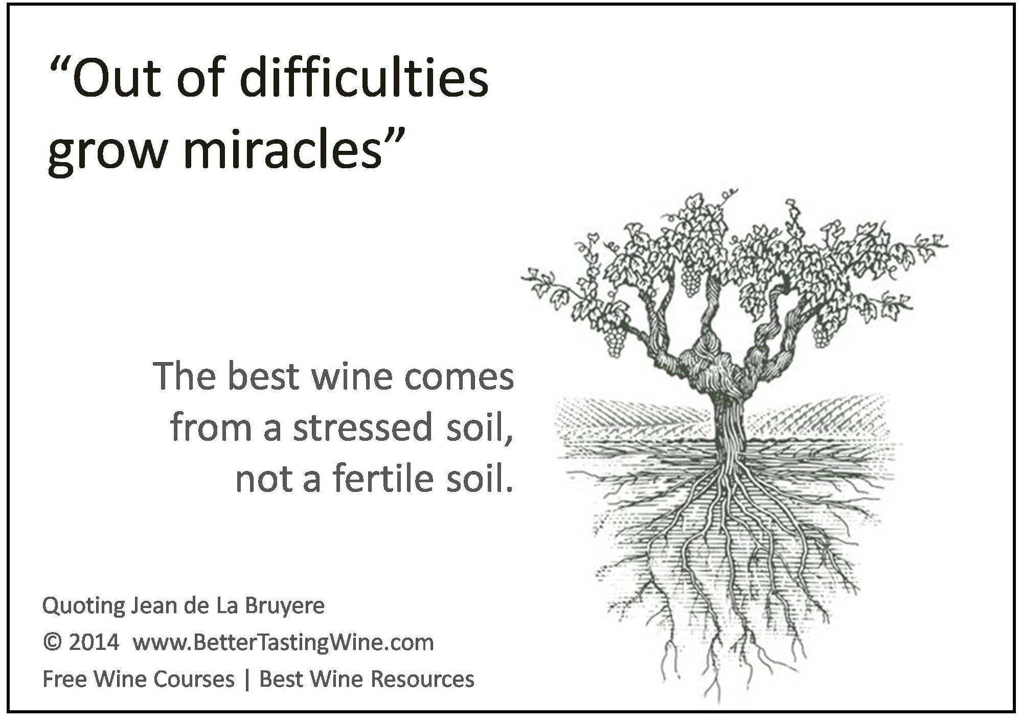 Wine Quote BetterTastingWine